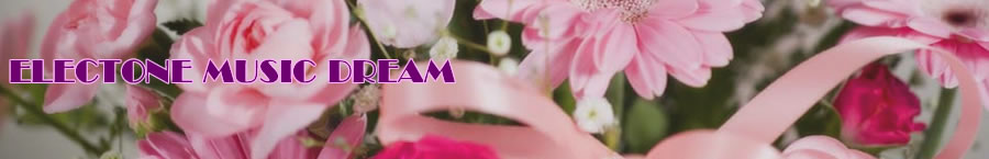 Electone Music Dream�ւ悤����
