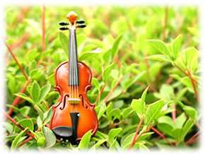 �o�C�I����